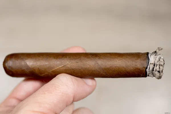 Viaje Honey Bale