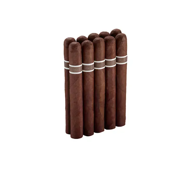 CroMagnon Aquitaine Anthropology 10 Pack