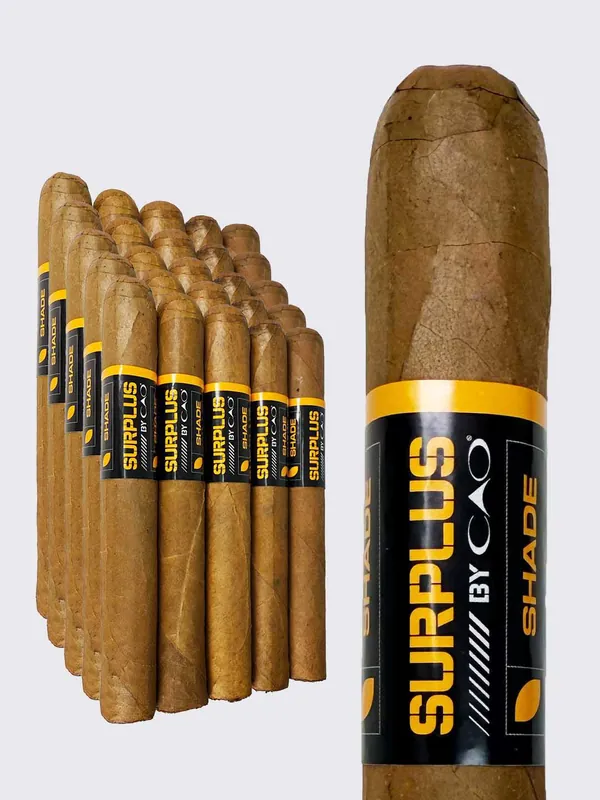 CAO Surplus