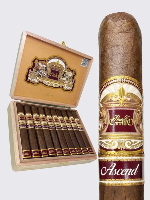 E.P. Carrillo Ascend