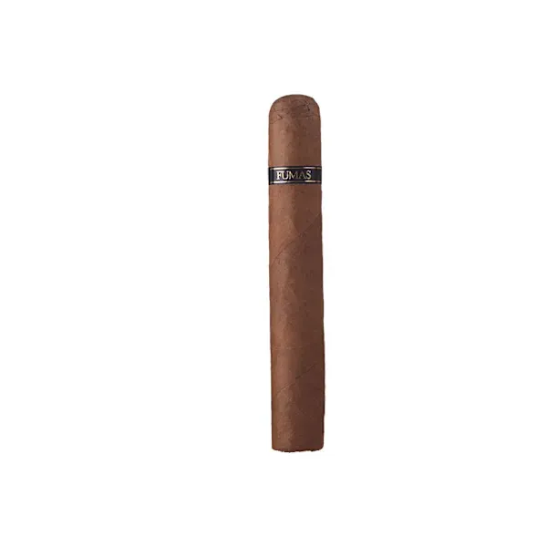 Rocky Patel Fumas