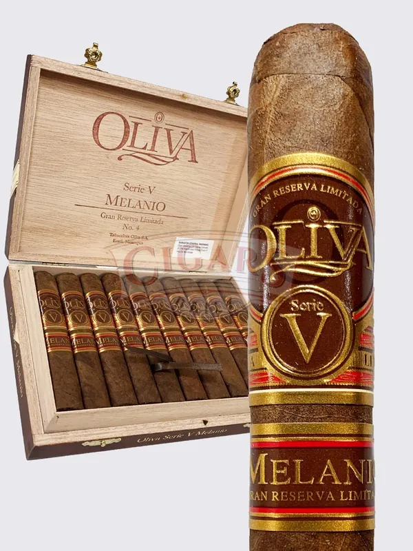 Oliva Serie V Melanio