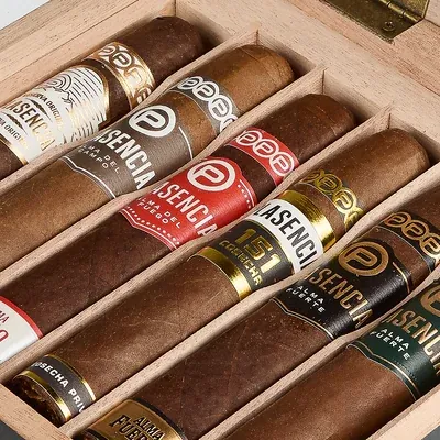 Plasencia 6-Cigar Robusto Collection