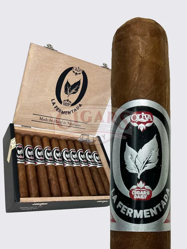 Oliva La Fermentada