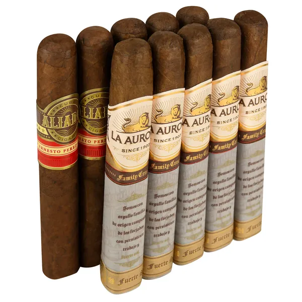 Dominican Blue-Blood Bedlam Stacked Pack #66