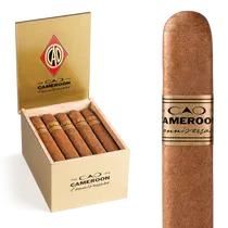 CAO Cameroon Churchill