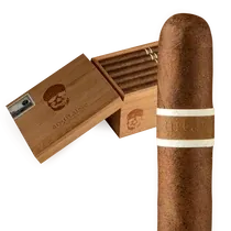RoMa Craft CroMagnon Aquitaine Cranium